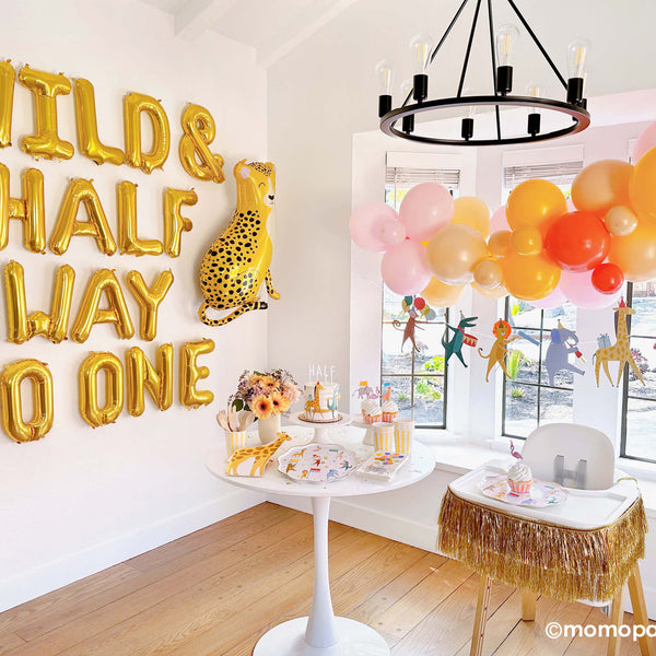 Easy and Cute Half Birthday Ideas for Your Baby – Momo Party